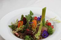 vegetable garden