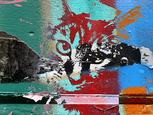 Kattenkunst - Diva 7