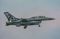 Belgische General Dynamics F-16B Fighting Falcon (OCU). van Jaap van den Berg thumbnail