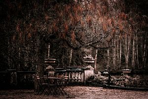 Der Schlossgarten