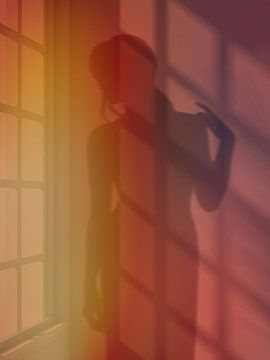 Afternoon Shadows III van Marja van den Hurk