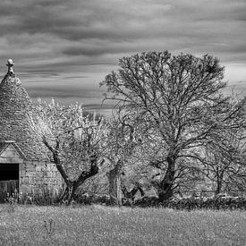 Trullo- Puglia - infrared black and white by Teun Ruijters