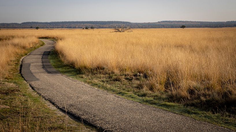 Een weg die nergens naar toe gaat van Hans de Waay