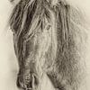 The Horse von Renald Bourque