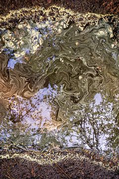 Wasserpfütze auf dem Waldweg nach einem Regenschauer