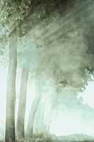 Into the light