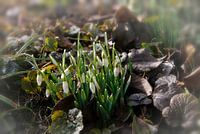 It's Springtime