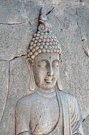 Rustico van Fons Hayes