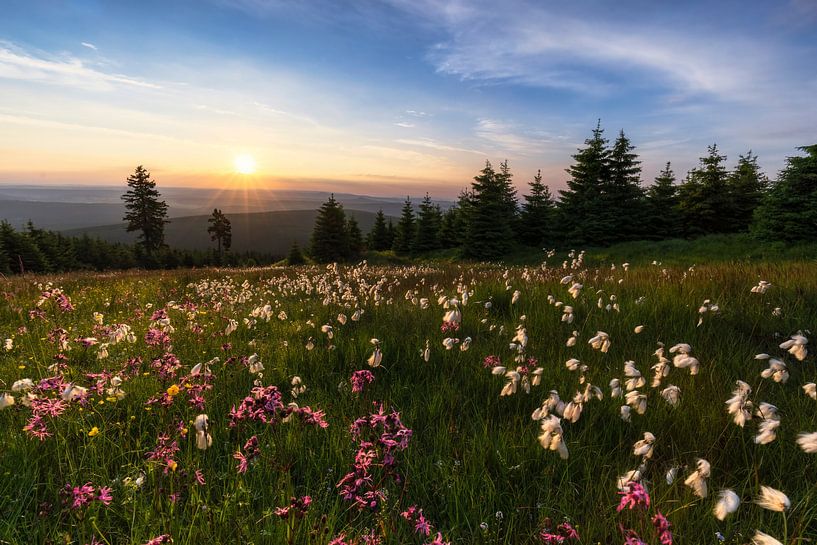 Summer in the Ore Mountains by Daniela Beyer