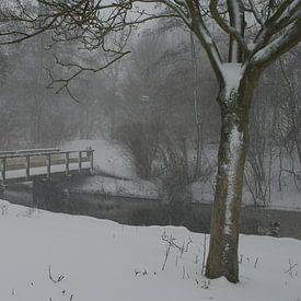 Winter van Jan Linschoten