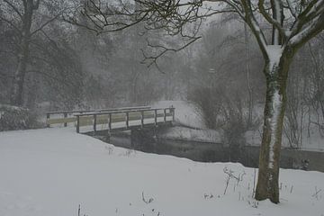 Winter van Jan Linschoten