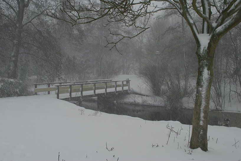 Winter by Jan Linschoten