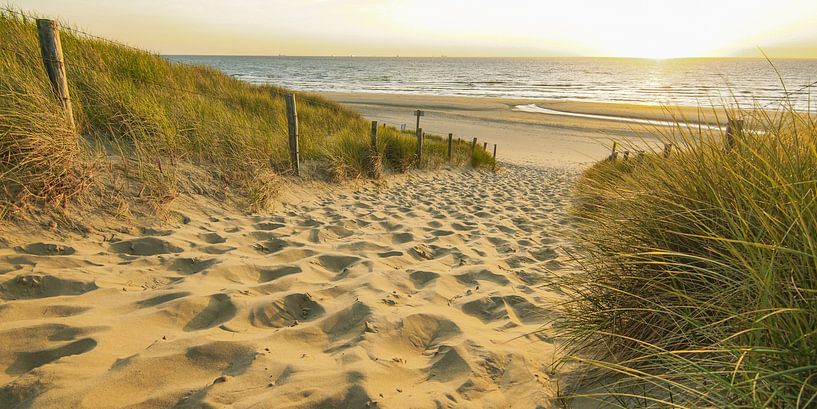 Soleil, mer et sable sur la côte néerlandaise par Dirk van Egmond
