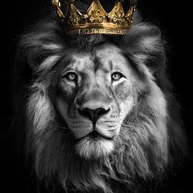 King of the jungle in black and white with a golden crown by John van den Heuvel