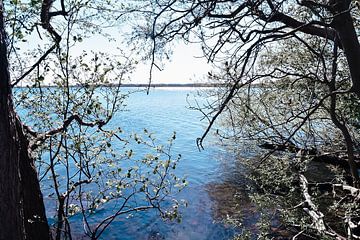 Mooie natuur doorkijk over het water van Jennifer Petterson