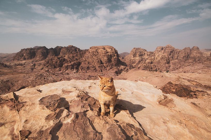 Grand Canyon by Hello Pompoyo