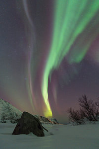 Nordlicht über einem zugefrorenen See in einer verschneiten Winterlandschaft auf den Lofoten