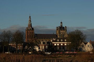 Die wunderschöne St. John's Cathedral vom Bosche Broek aus von Sinne Schouten