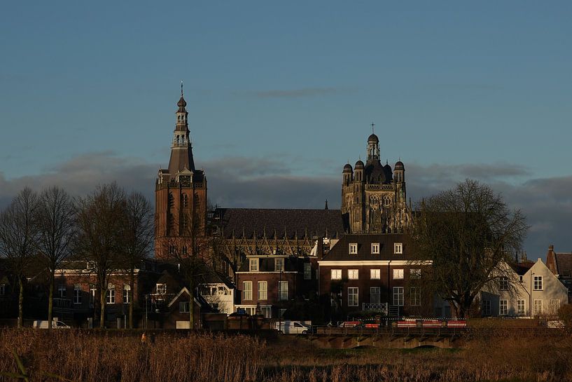 Die wunderschöne St. John's Cathedral vom Bosche Broek aus von Sinne Schouten