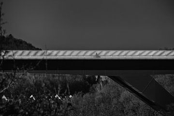 Eenzame fietser op een brug van it's a Boone thing