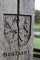 Lion Brabant Wood