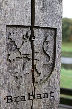 Lion Brabant Wood