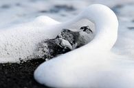 Morceau de glace avec une vague sur une plage de lave noire en Islande par Gonnie van de Schans Aperçu