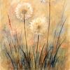 leuchtende Pusteblumen und Aquarell von Claudia Gründler