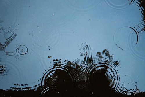 Rain drops on the water in the forest