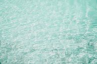 Ocean view by shanine Roosingh thumbnail