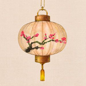 Traditioneller asiatischer Laternen mit rosa Kirschblüten