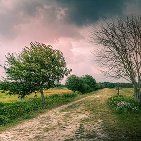 Bomen net voor een enorme regenbui van Ingrid Honders