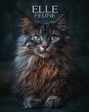 ELLE Feline van Jacky