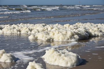 North Sea beach with sea foam. by Wim Jacobs