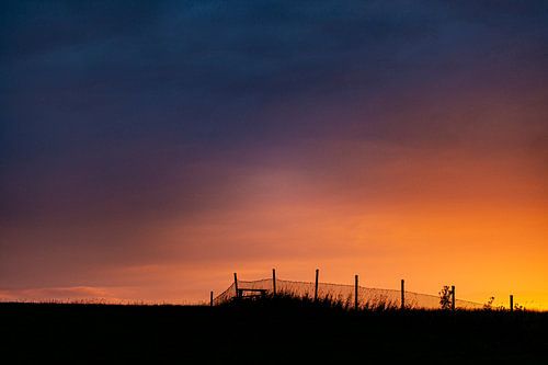 Evening light over the dike