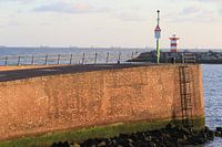 Haven Scheveningen