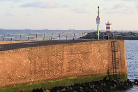 Haven Scheveningen by Micky Bish