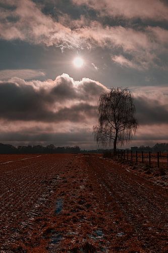 Dompel jezelf onder in de rust van een vredige zonsondergang!