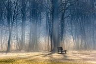 TAKE A SEAT DELFT WOOD by Gerhard Nel thumbnail