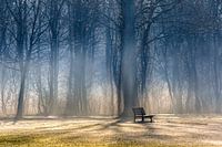 TAKE A SEAT DELFTSE HOUT