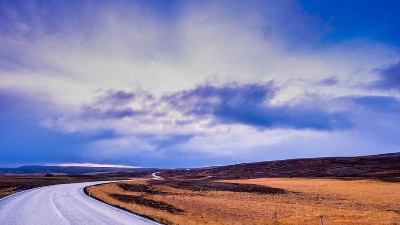 Der Weg ins Nirgendwo von Tim Briers