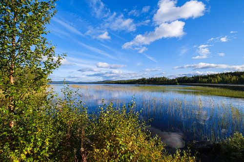 Genieten van de rust