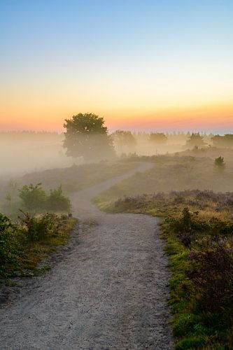 Pad in een heidelandschap tijdens zonsopgang