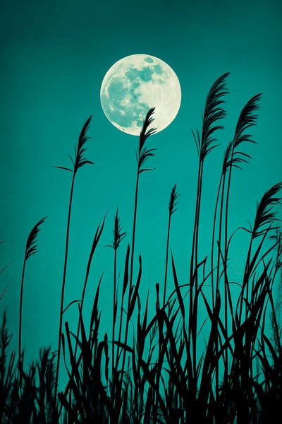 Moonlight grass by Poster Art Shop