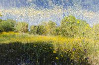 Des fleurs partout