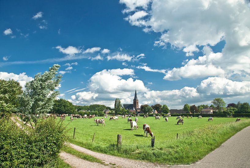 Niederländische Landschaft von Afke van den Hazel