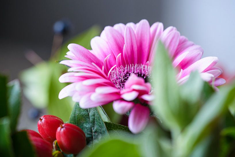 Bloem van Barbara Laurens