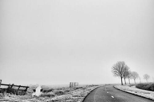 Splitsing in onze wegen