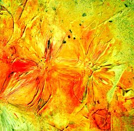 LUST AUF SOMMER by Barbara Mueller