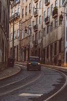 Lelijke eendje on tour